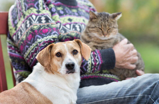 8 Benefits of Pet Ownership in the Elderly