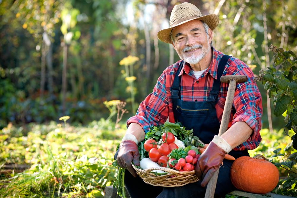 10 Therapeutic Benefits of Gardening for the Elderly