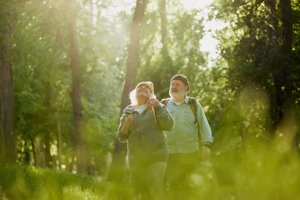 Why is it good to encourage elderly people to remain active